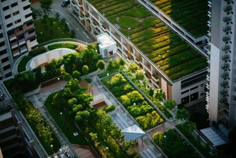 nature-based solutions
