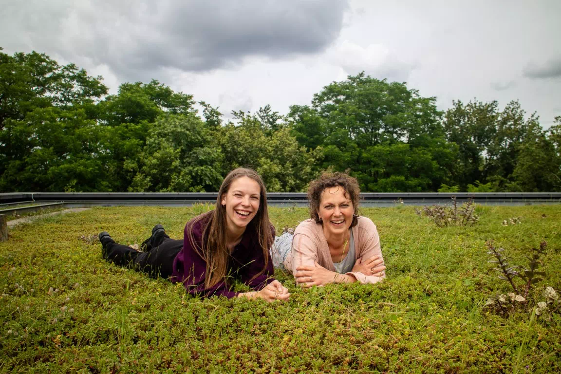 nature-based solutions