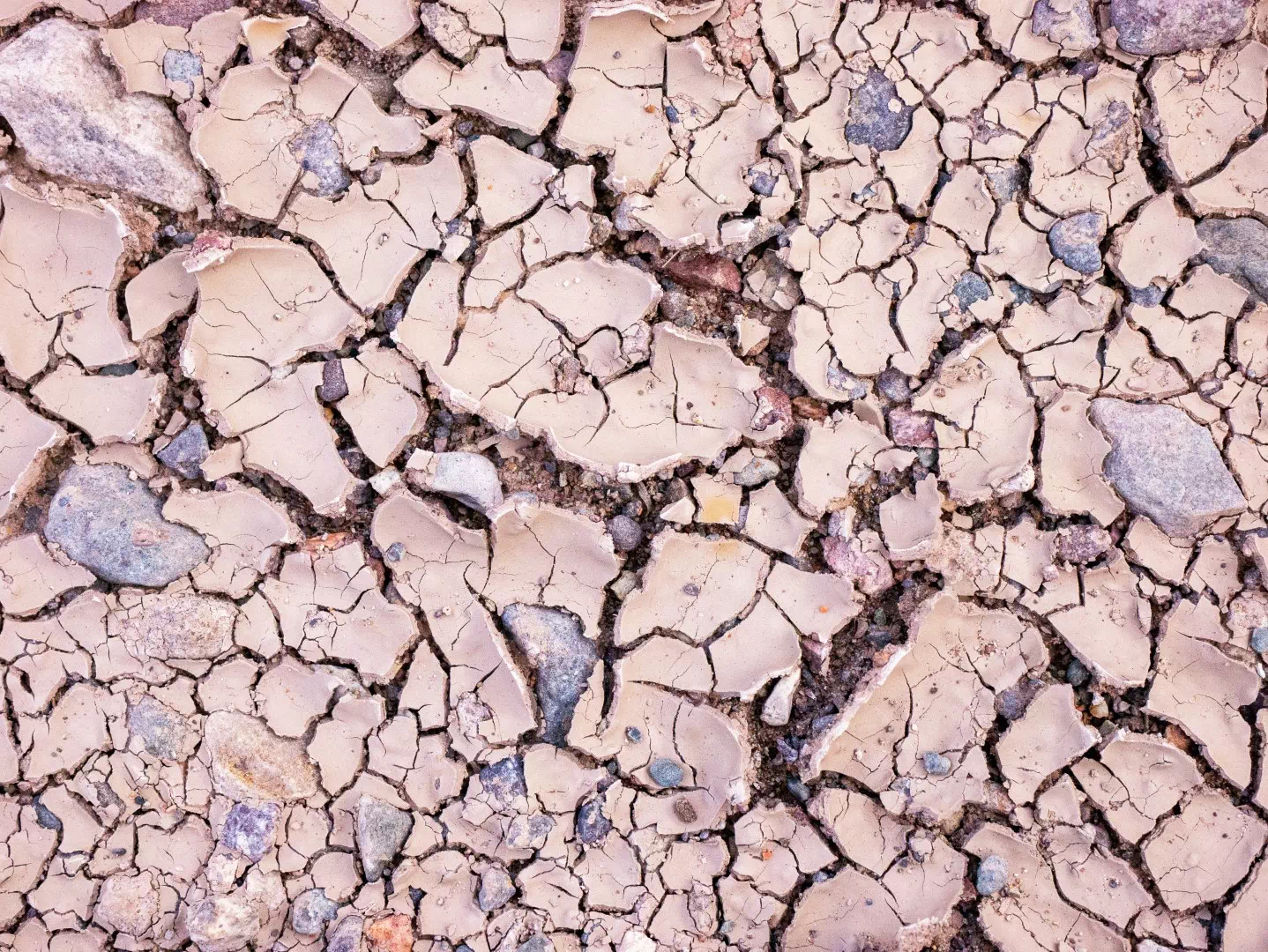 Clay Shrink Swell causes property damage and financial risks for homeowners