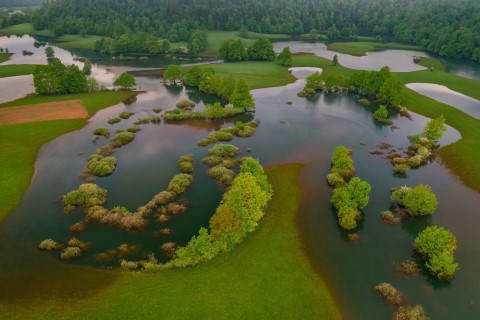 nature-based solutions