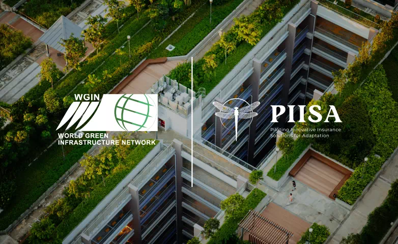 PIISA webinar